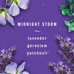 Febreze Fabric 12.5oz. Trigger Spray, Midnight Storm (Pack of 2)