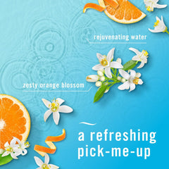 Febreze Plug In Air Freshener, Odor-Fighting Scented Oil Refill, Refresh & Energize, 2 Refill